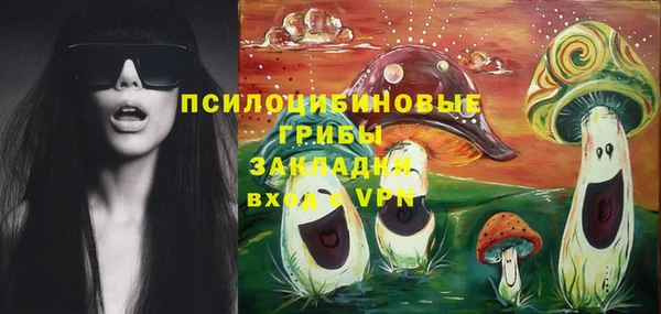 ПСИЛОЦИБИНОВЫЕ ГРИБЫ Армянск