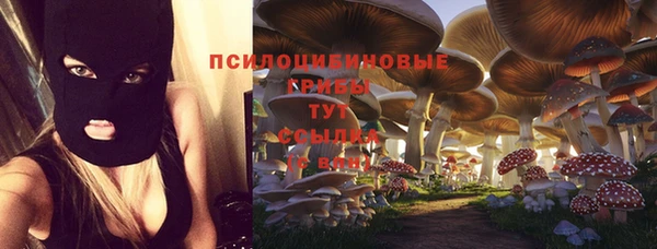 крисы Балахна