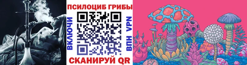 купить наркотики сайты  Свирск  Псилоцибиновые грибы мицелий 