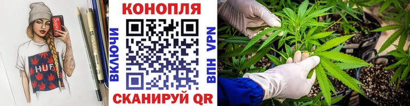 мега ссылки  Свирск  Шишки марихуана OG Kush 
